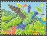 colibri..jpg
