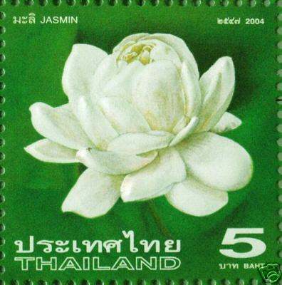 Jasmin Thai.jpg