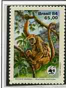 Macaco001.jpg