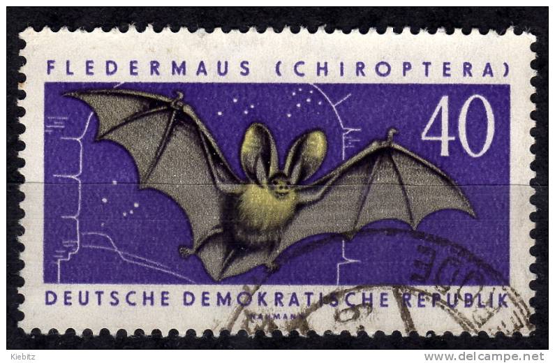 pipistrelli germania orientale 1962.jpg