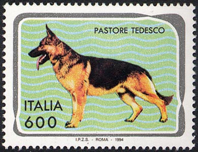 PASTORE TEDESCO.JPG