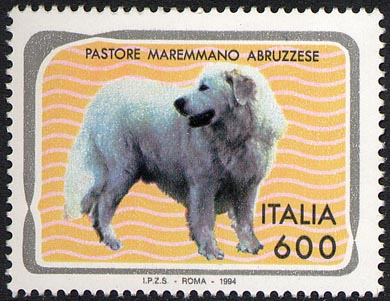 PASTORE MAREMMANO ABRUZZESE.JPG