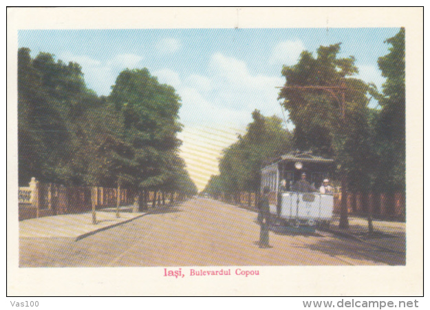 tram del campe 378174935.jpg