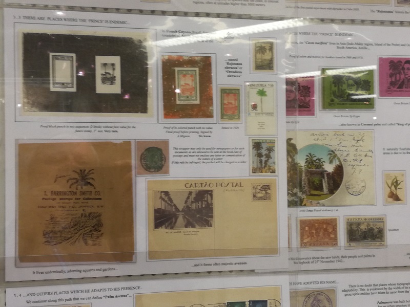mostra027.jpg