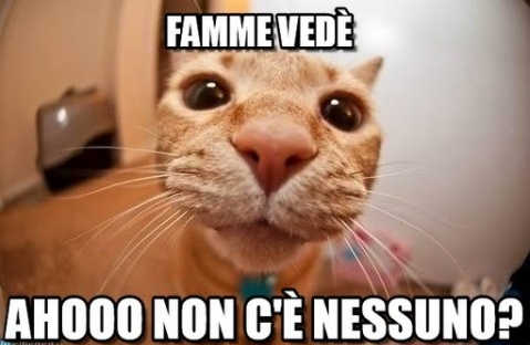 nessuno.jpg