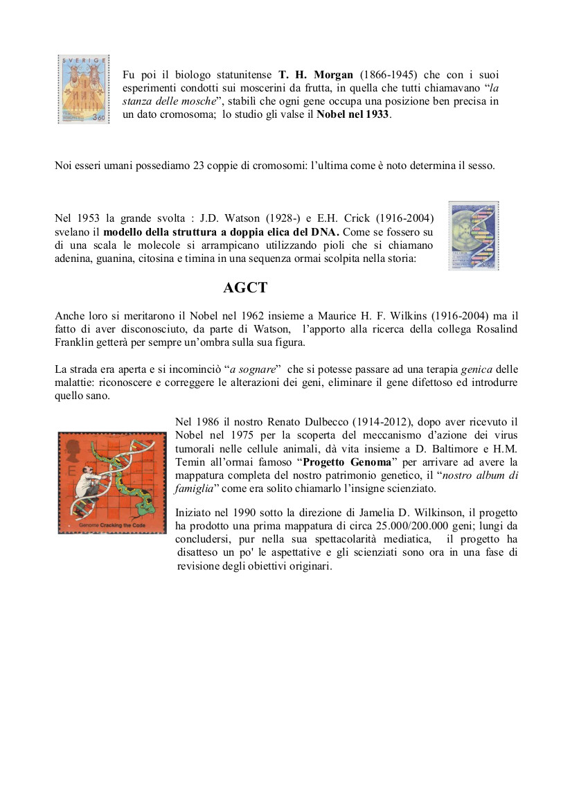 Dai piselli alla doppia elica_2.jpg