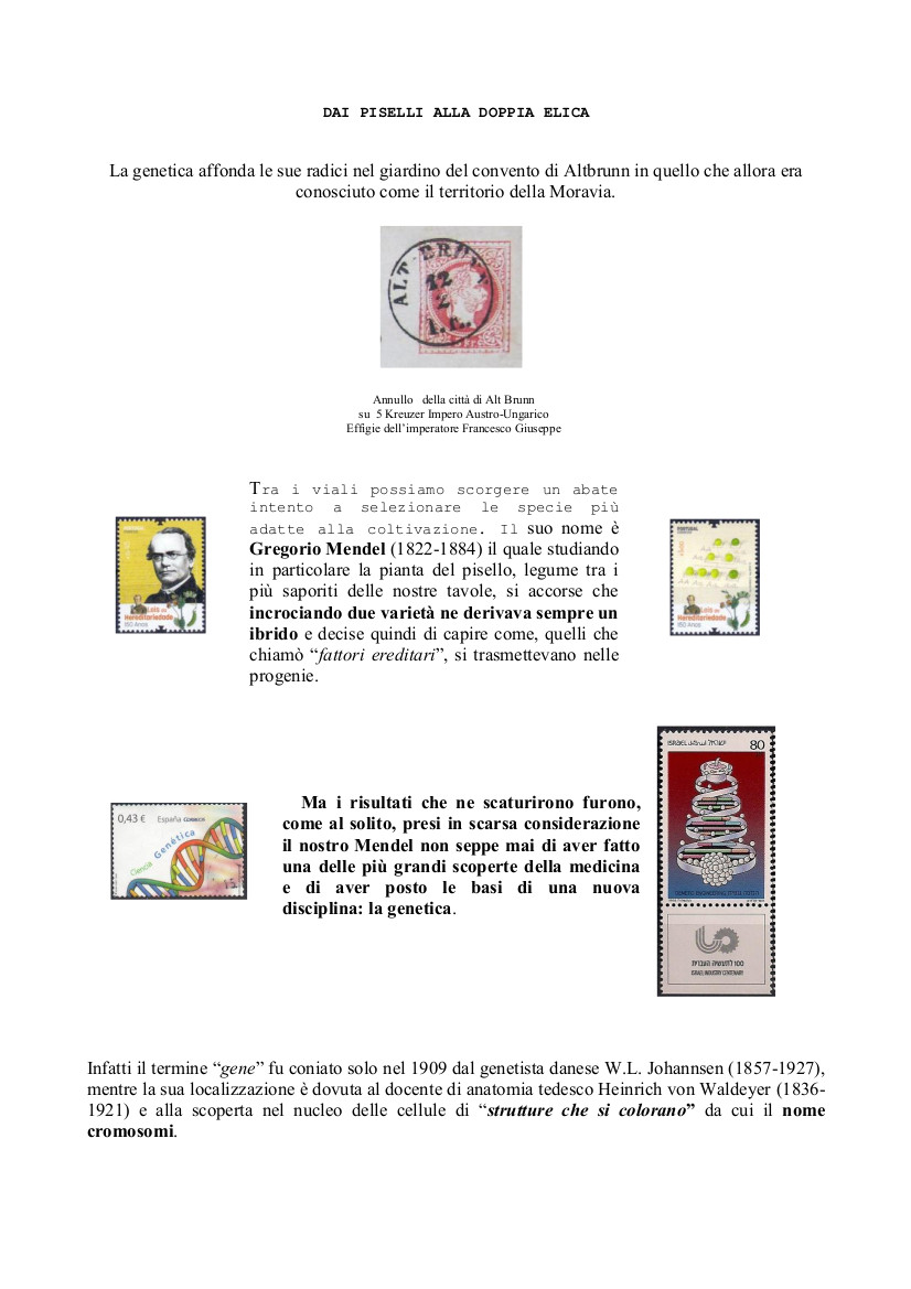 Dai piselli alla doppia elica_1.jpg