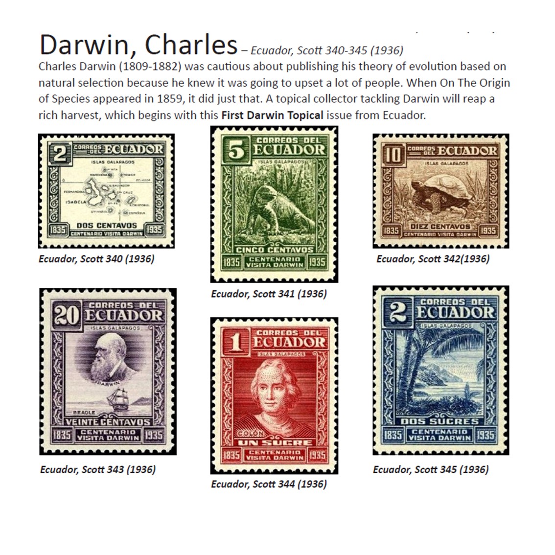 Darwin first.jpg