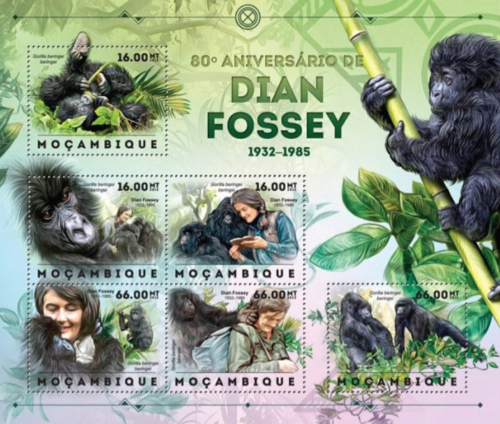 fossey.jpg