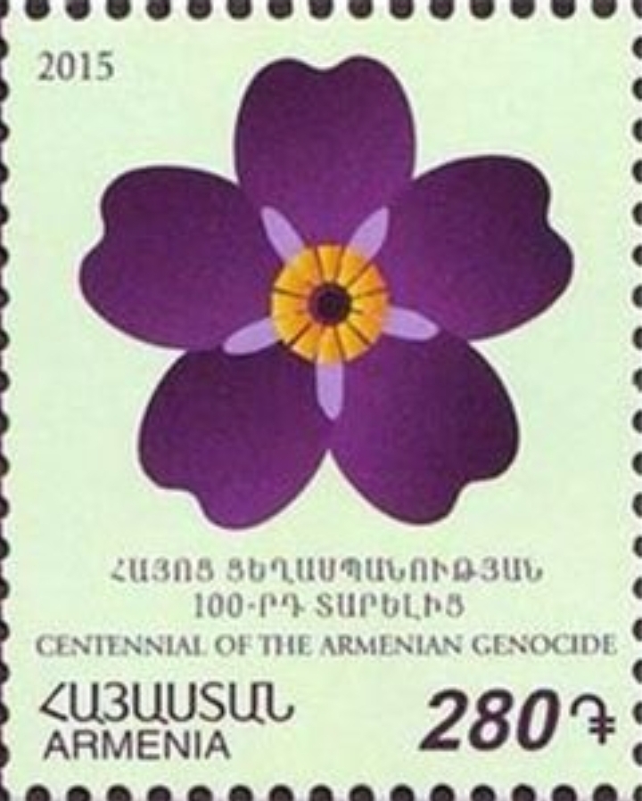 20190424_231553.jpg