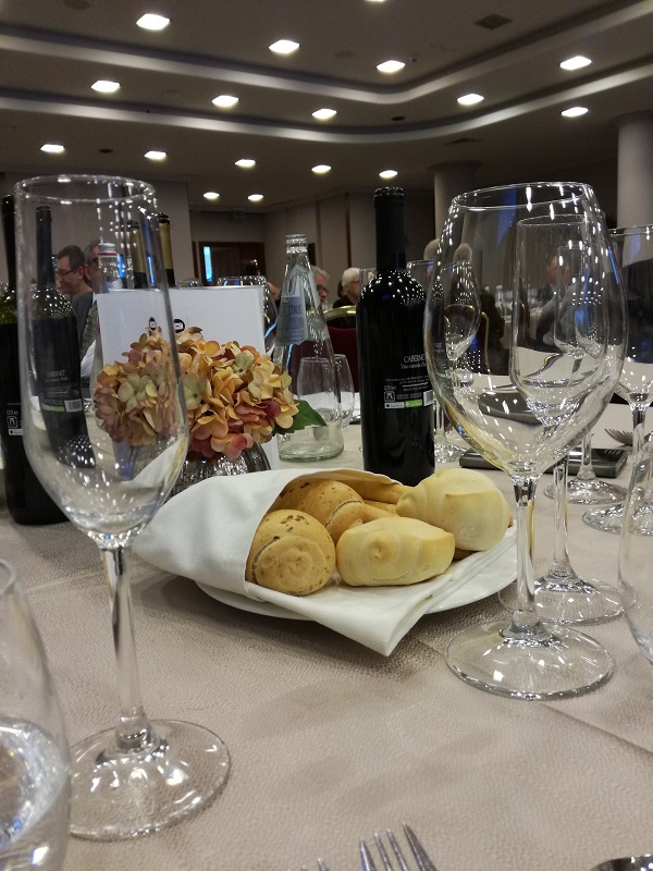 Palmares11.jpg