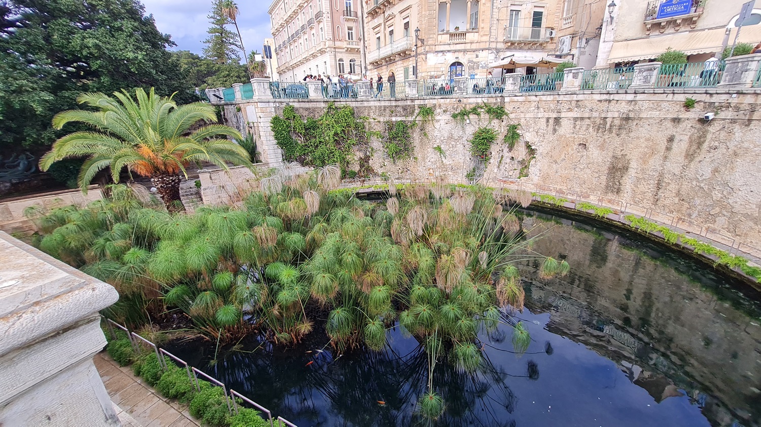 Fonte Aretusa.jpg