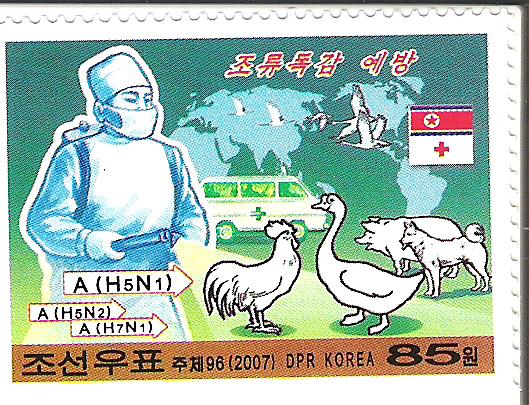 corea 001.jpg