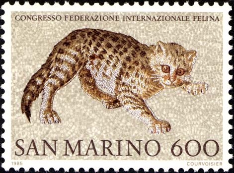 gatto RSM.jpg