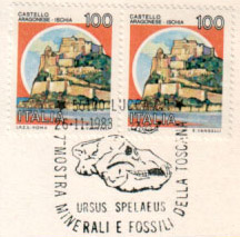 ursus_spelaeus.jpg