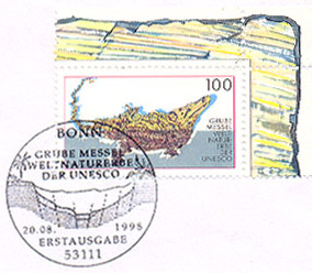 messel.jpg