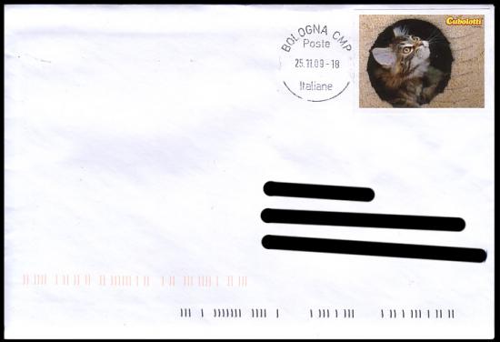 gatto.jpg