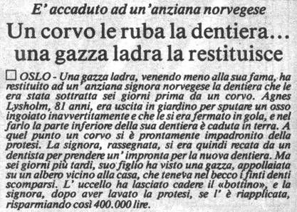 notizia1.jpg