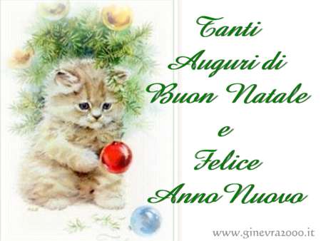 Card_Natale10 con gatto.jpg