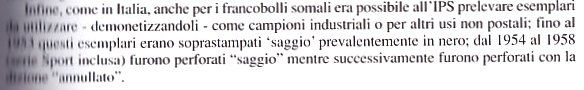 saggio.jpg