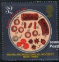 enp1218.jpg