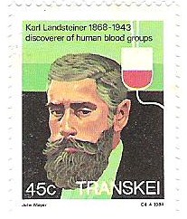 Landsteiner 001.jpg