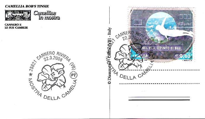 Camelie 001.jpg